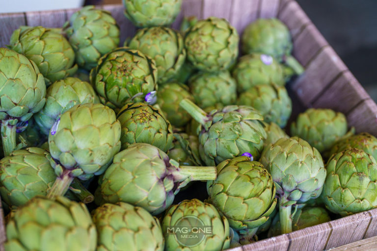 Artichoke Festival, The Heart of the Harvest June 11 & 12, 2022